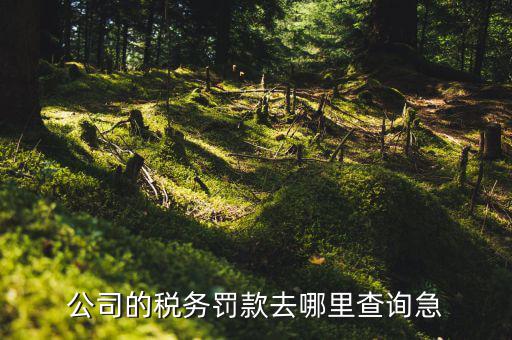 如何查稅收違法記錄，公司的稅務罰款去哪里查詢急