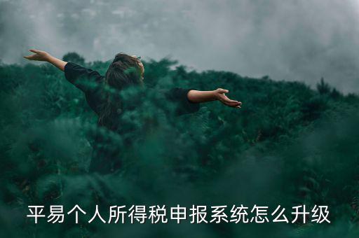 個(gè)稅如何在線升級(jí)，個(gè)稅系統(tǒng)的版本號(hào)V12146如何升級(jí)V12159