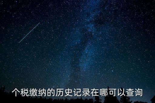 如何查詢個人所得稅的繳費記錄，個稅繳納的歷史記錄在哪可以查詢