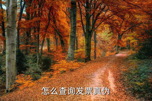 上網(wǎng)如何查詢發(fā)票真?zhèn)?，怎樣才能在網(wǎng)上驗證發(fā)票的真假