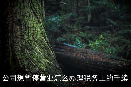 北京市如何辦理單位稅務暫停，企業(yè)暫停營業(yè)怎么辦理