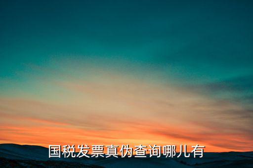 國(guó)稅發(fā)票真?zhèn)尾樵?xún)哪兒有