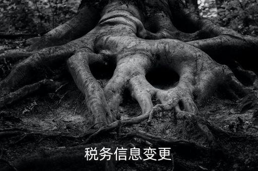 地稅如何變更人員信息查詢，浙江地稅開票軟件開票人怎么更改