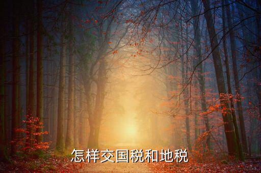如何開通國稅和地稅，怎樣在網(wǎng)上開通國稅和地稅的申報啊特別是地稅有稅的申報和一般納