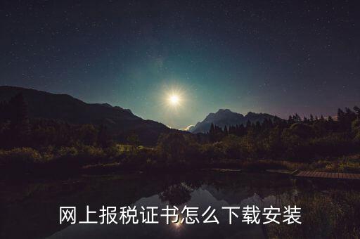 如何下載電子稅務印章，網(wǎng)上報稅證書怎么下載安裝