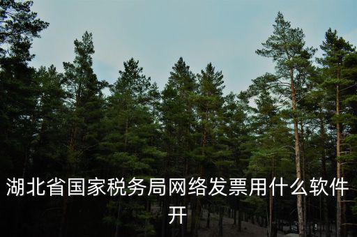 湖北如何網(wǎng)上開專票，湖北省國(guó)家稅務(wù)局網(wǎng)絡(luò)發(fā)票用什么軟件開