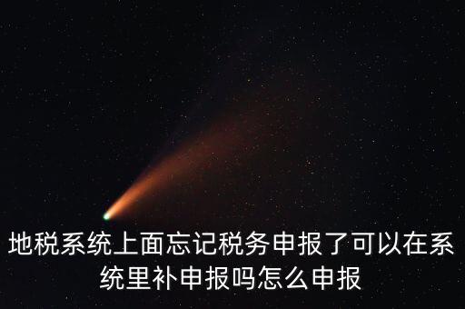 地稅如何補(bǔ)充申報(bào)表，地稅系統(tǒng)上面忘記稅務(wù)申報(bào)了可以在系統(tǒng)里補(bǔ)申報(bào)嗎怎么申報(bào)