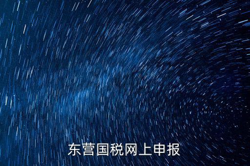 東營國稅如何網(wǎng)上申報，東營國稅網(wǎng)上申報