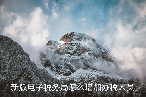 深圳稅局如何增加辦稅員，電子稅務局如何添加辦稅人員
