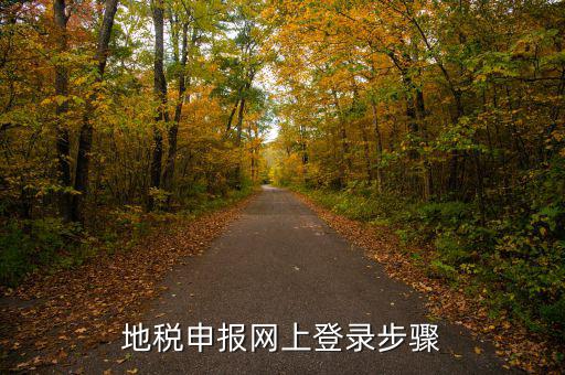 廣西國稅地稅如何網(wǎng)上申報，稅務(wù)申報如何網(wǎng)上申報