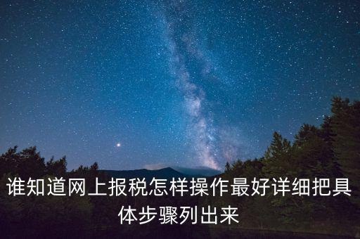 如何進(jìn)行網(wǎng)上納稅申報，如何進(jìn)行網(wǎng)上申報稅款