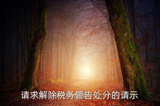 四川省稅務(wù)處罰信息如何消除，請求解除稅務(wù)警告處分的請示