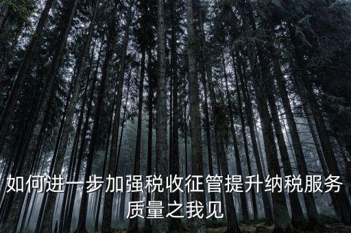 如何進一步加強稅收征管提升納稅服務質(zhì)量之我見