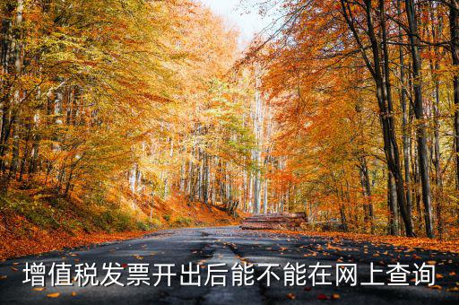 如何查詢發(fā)票完稅，稅控軟件上已經(jīng)開的發(fā)票怎么查詢