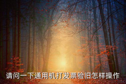 定額通用發(fā)票如何驗舊，請問一下通用機打發(fā)票驗舊怎樣操作