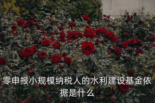 零申報小規(guī)模納稅人的水利建設基金依據是什么