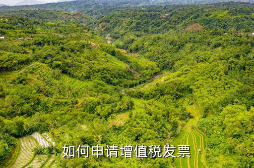 增值稅卷式發(fā)票如何申，新開公司如何申請增值稅發(fā)票
