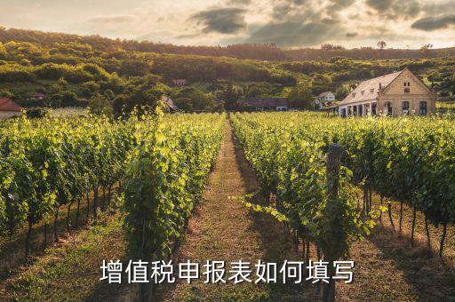增值稅納稅申報表如何填列，增值稅申報表如何填寫