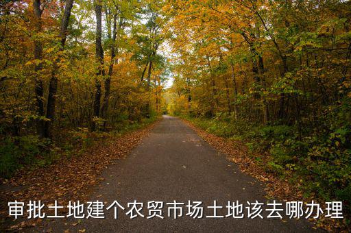 農(nóng)貿(mào)市場土地如何取得，審批土地建個農(nóng)貿(mào)市場土地該去哪辦理