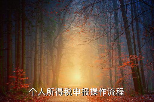 自然人所得稅如何安裝，個(gè)人所得稅如何進(jìn)行申報(bào)和核算