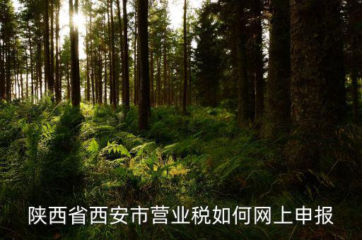 陜西省國稅網(wǎng)如何報(bào)稅，如何在陜西國稅官網(wǎng)上查找并打印2016年12月份的納稅申報(bào)表請(qǐng)高
