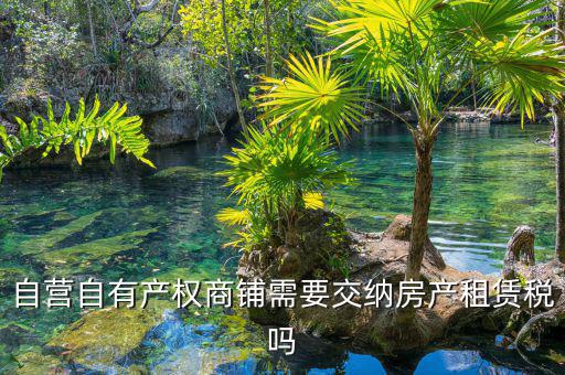 自有商鋪如何繳租賃稅，自有商鋪 是否交出租稅