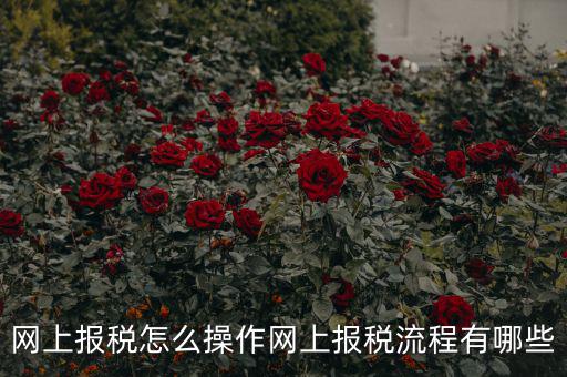 江蘇省網(wǎng)上稅務(wù)局如何報(bào)稅，網(wǎng)上報(bào)稅怎么操作網(wǎng)上報(bào)稅流程有哪些