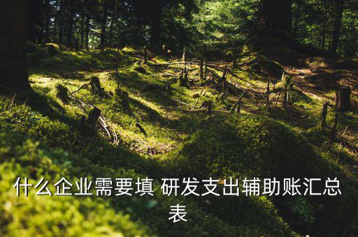 研發(fā)支出 輔助賬匯總表如何填寫，什么企業(yè)需要填 研發(fā)支出輔助賬匯總表