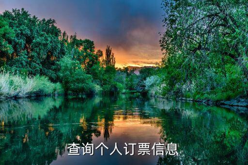 如何查買(mǎi)票信息查詢，12306可以查買(mǎi)票信息嗎