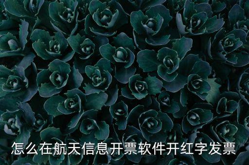 航天信息如何開(kāi)票系統(tǒng)，航天信息開(kāi)票系統(tǒng)