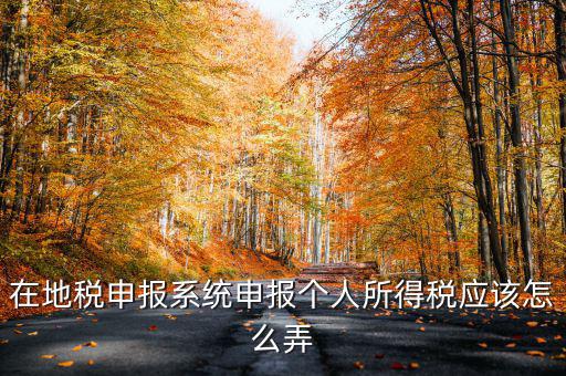 如何在北京地稅局申報個稅，在地稅申報系統(tǒng)申報個人所得稅應(yīng)該怎么弄