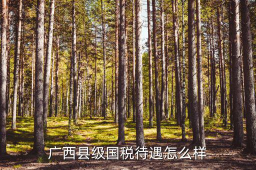 廣西縣級(jí)國(guó)稅待遇如何，廣西河池市下面各縣國(guó)家稅務(wù)局待遇如何