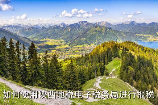 陜西地稅國稅網(wǎng)上如何申報，如何使用陜西地稅電子稅務(wù)局進行報稅