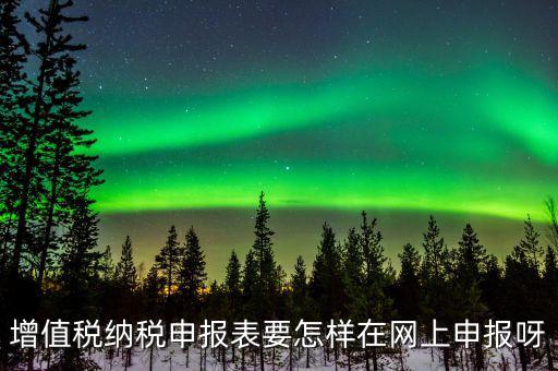 增值稅網(wǎng)上如何申報(bào)系統(tǒng)，增值稅納稅申報(bào)表要怎樣在網(wǎng)上申報(bào)呀