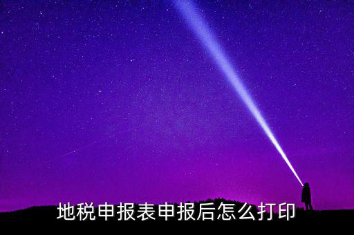 地稅如何打印申報表，地稅納稅申報表怎么打印
