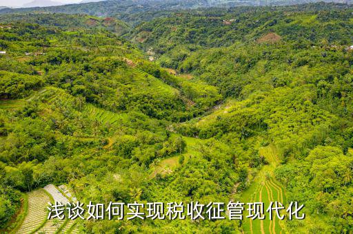 談?wù)勅绾瓮七M(jìn)新時(shí)代稅收現(xiàn)代化，淺談如何實(shí)現(xiàn)稅收征管現(xiàn)代化
