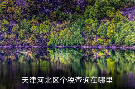 河北如何查詢個稅應(yīng)納稅額，您好想咨詢一下現(xiàn)在個稅是全國聯(lián)網(wǎng)了么如北京地稅局可以查詢