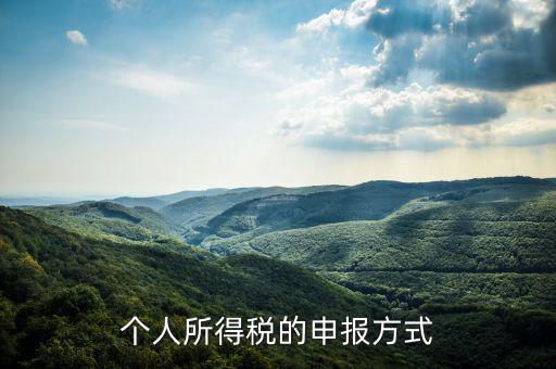 如何申請個人所得稅，個稅怎么申報