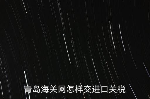 青島海關網(wǎng)怎樣交進口關稅