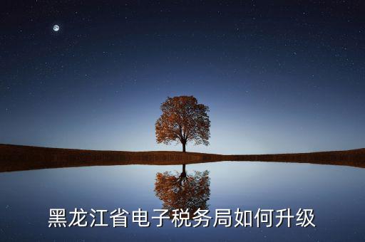 如何升級國稅系統(tǒng)，河南省電子稅務(wù)局版本過低怎么升級