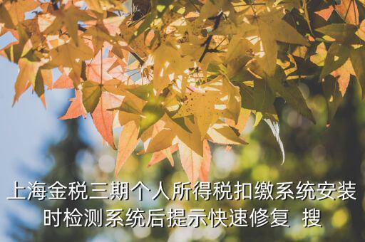 個稅安裝包如何恢復，上海金稅三期個人所得稅扣繳系統(tǒng)安裝時檢測系統(tǒng)后提示快速修復  搜