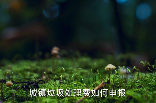 城市生活垃圾費(fèi)如何申報(bào)，城鎮(zhèn)垃圾處理費(fèi)如何申報(bào)