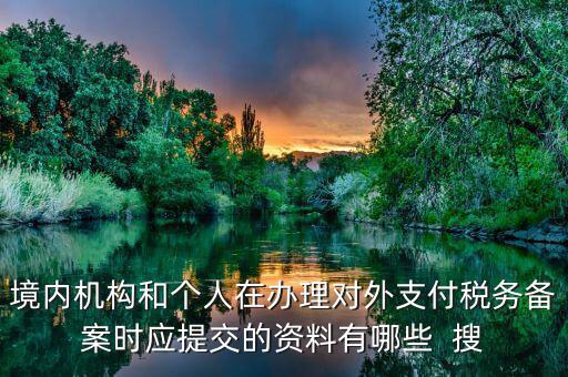 如何填列對外支付稅務(wù)備案表，境內(nèi)機構(gòu)和個人在辦理對外支付稅務(wù)備案時應(yīng)提交的資料有哪些  搜