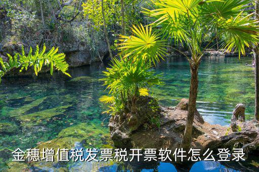 掌上辦稅如何登錄，登錄國稅網上辦稅服務廳的用戶名和密碼是什么