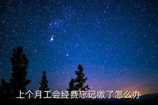 如何補(bǔ)繳上月工會經(jīng)費(fèi)地稅，工會經(jīng)費(fèi)上月已申報(bào)但未繳費(fèi)本月可以補(bǔ)交嗎在哪里補(bǔ)交是在報(bào)稅系統(tǒng)