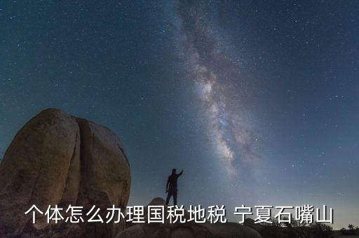 寧夏個稅如何申報，個體怎么辦理國稅地稅 寧夏石嘴山