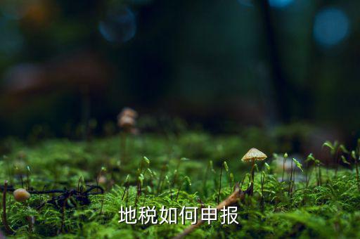 2018年8月河北地稅如何申報(bào)，請(qǐng)問(wèn)網(wǎng)上申報(bào)地稅怎么申報(bào)呀是怎樣流程要報(bào)些什么稅填哪些報(bào)表百