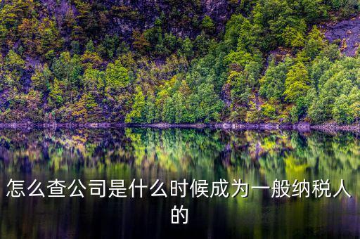 如何查詢一般人納稅認(rèn)定時間，怎么查公司是什么時候成為一般納稅人的