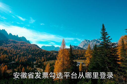 安徽省如何在網上申請購發(fā)票，安徽省發(fā)票勾選平臺從哪里登錄