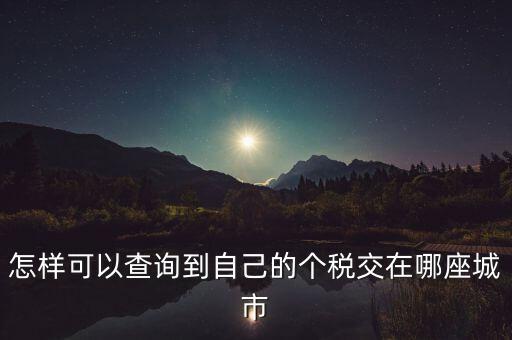 如何查詢個(gè)人所得稅所交地點(diǎn)，怎樣可以查詢到自己的個(gè)稅交在哪座城市